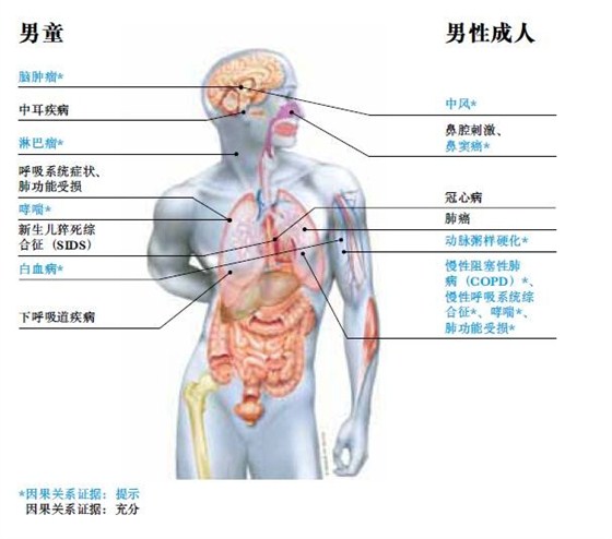 二手烟导致的疾病（男）