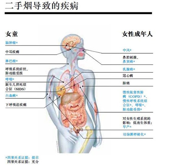 二手烟导致的疾病（女）-550